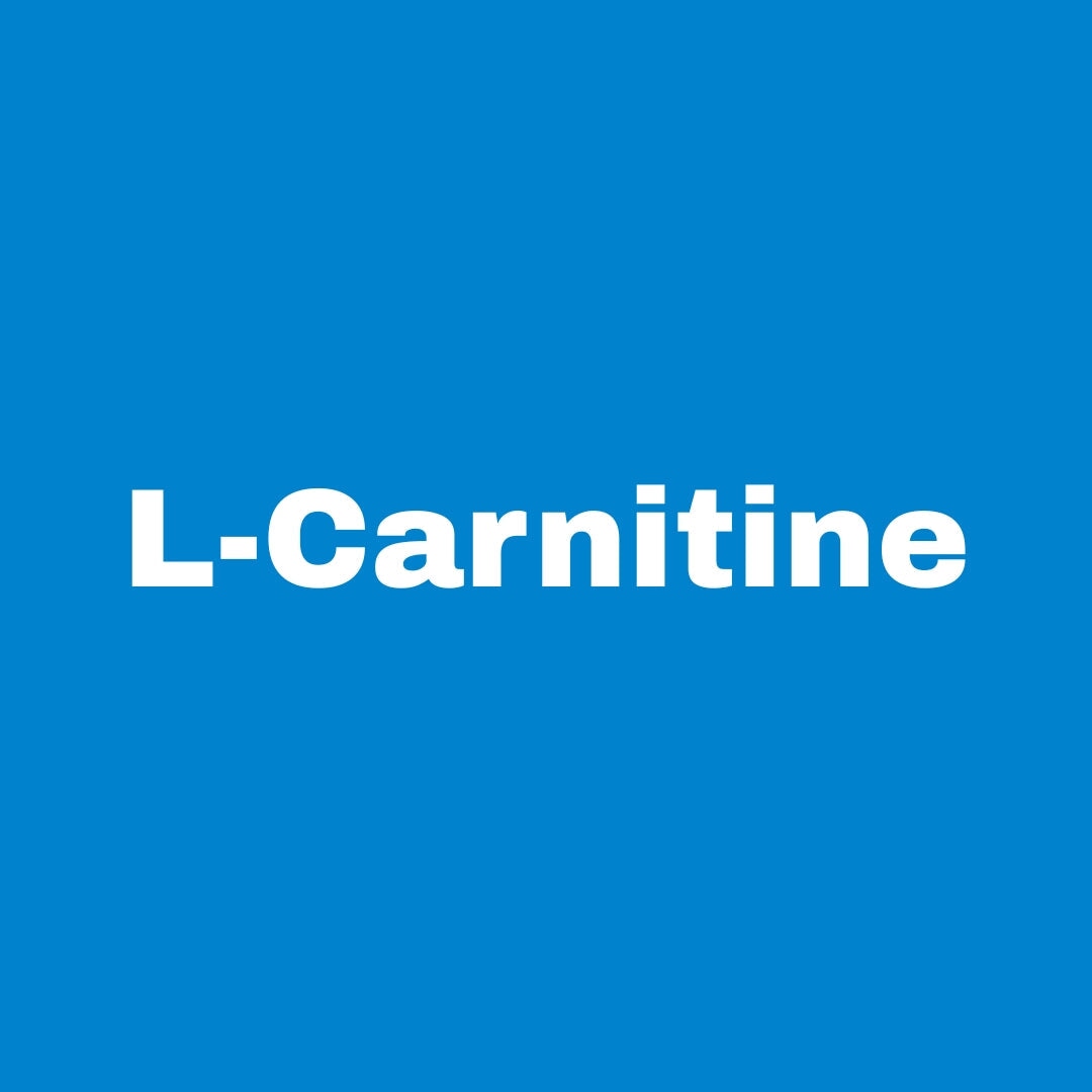 l carnitine liquid 3000 mg reviews Amazon.com: Nutrex Research L-Carnitine 3000 (31 Servings, Berry Blast) | Liquid Shots, Stimulant Free