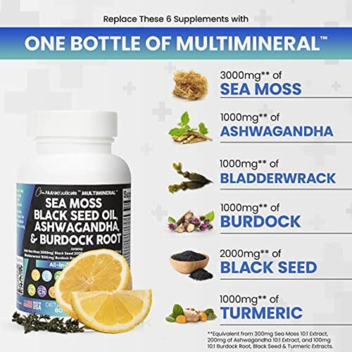 Clean Nutraceuticals All-in-One Supplement 60 Counts Herbal Supplements SUPPS247