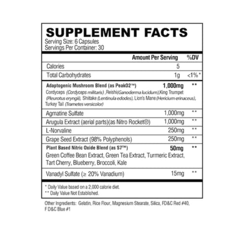 DNA DISPATCH Advance Nitric Oxide Formula PRE WORKOUT SUPPS247