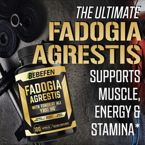 Bebefen Fadogia Agrestis Tongkat Ali 9300mg Testosterone Boosters SUPPS247 