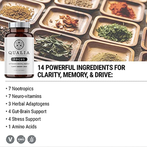 Qualia FOCUS for Memory And Motivation FOCUS & ENERGY SUPPS247