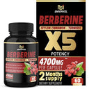 Berberine with Ceylon Cinnamon and Turmeric by BMVINVOL 4700 mg