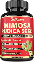 Natural Mimosa Pudica Seeds by Satoomi