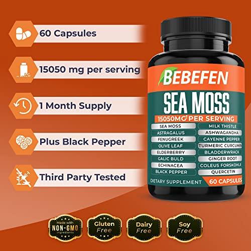 Sea Moss Capsules by Bebefen