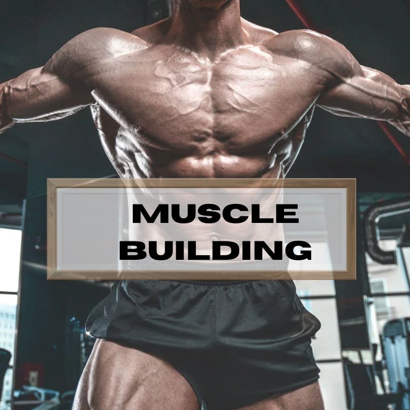 Muscle Building.