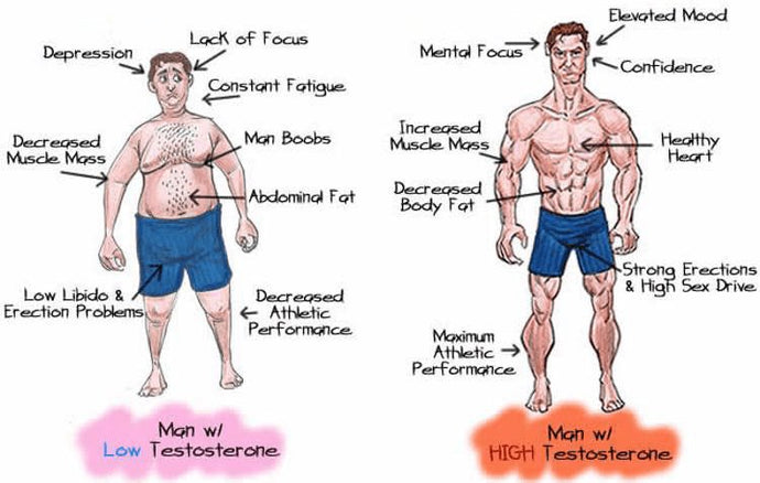 How is a testosterone test performed?