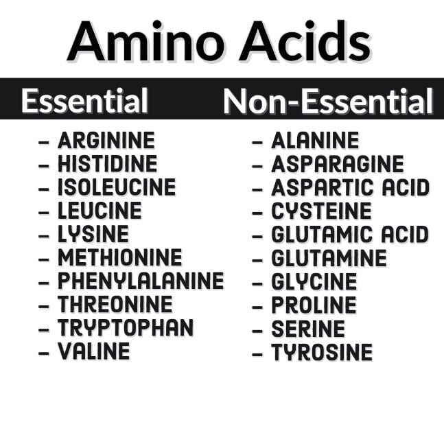Discover the Benefits of Amino Acids from Supps247's Range