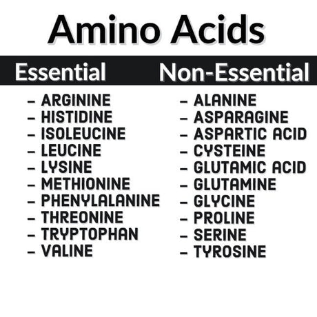 Discover the Benefits of Amino Acids from Supps247's Range