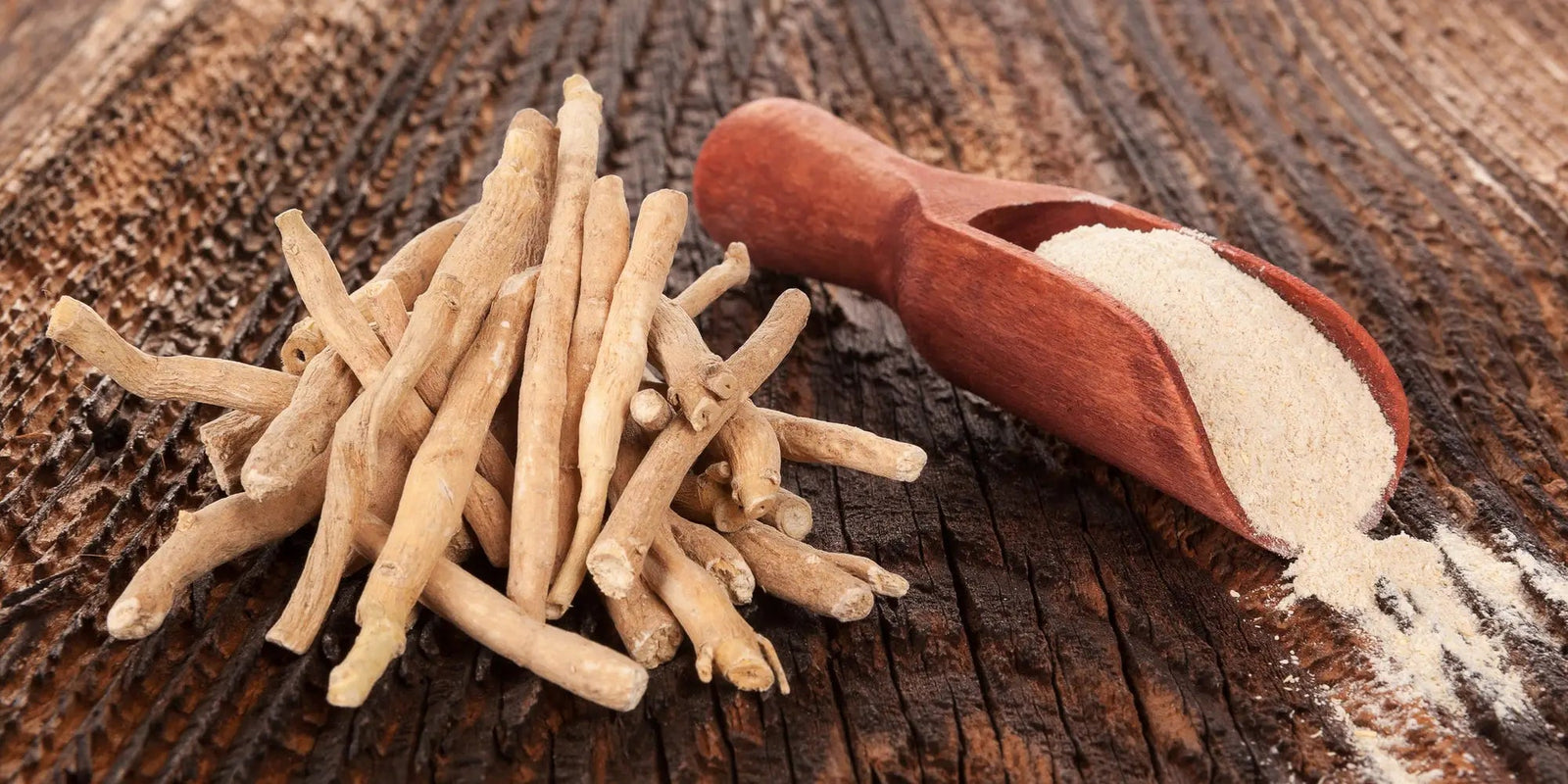 Feeling stressed? Ashwagandha may be able to help!