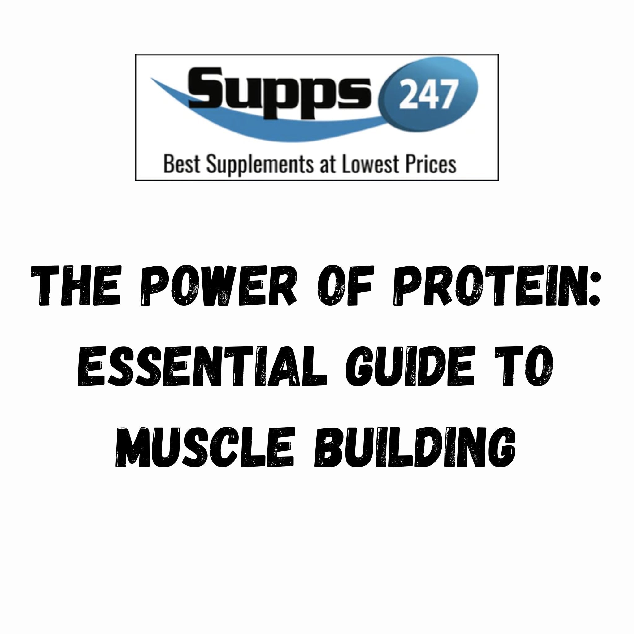 The Power of Protein: Essential Guide to Muscle Building.