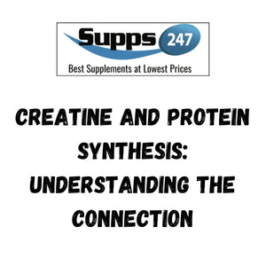 Creatine and Protein Synthesis: Understanding the Connection