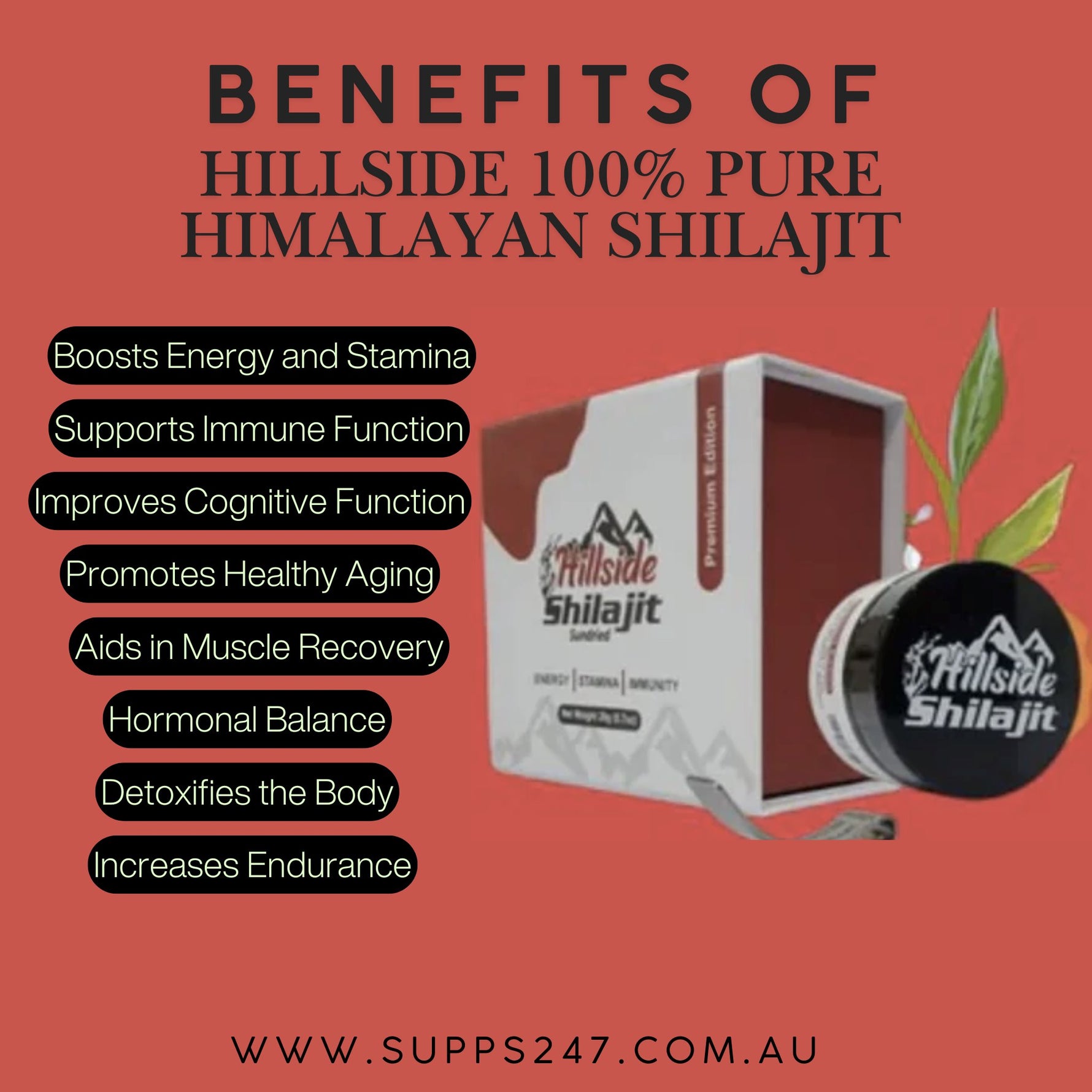 Benefits of Hillside 100% Pure Himalayan Shilajit