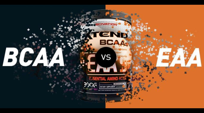 Importance of BCAA's and EAA's