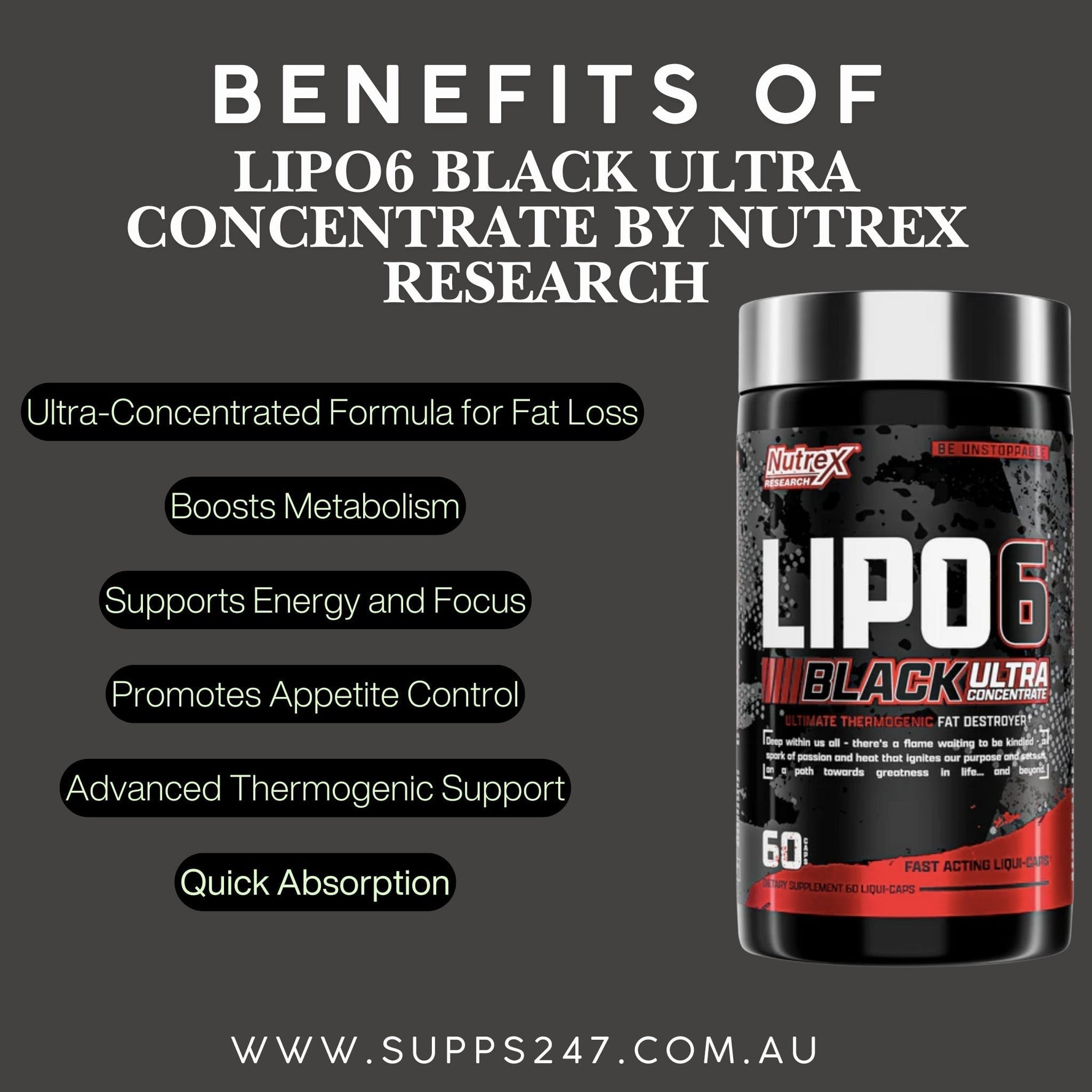 LIPO-6 Black Ultra Concentrate: Benefits and More – Available at Supps247