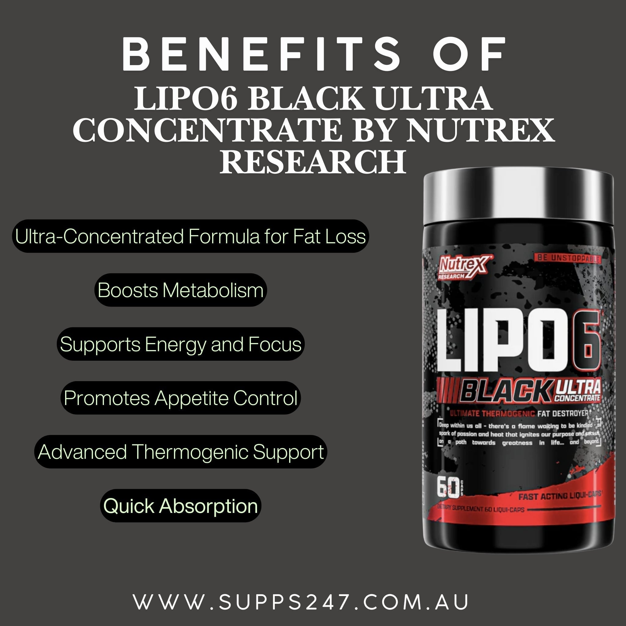 LIPO-6 Black Ultra Concentrate: Benefits and More – Available at Supps247