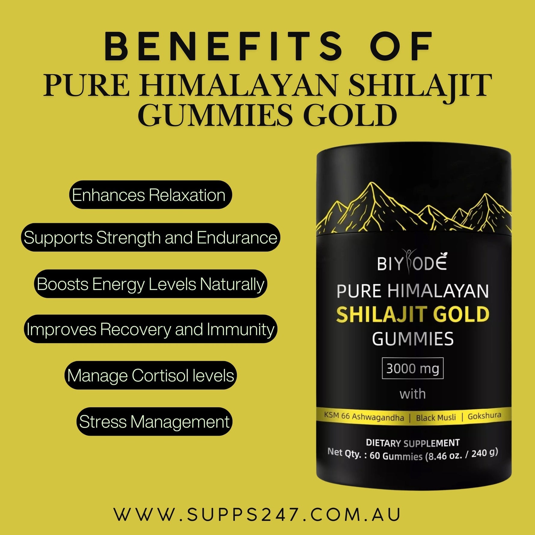 Benefits of Pure Himalayan Shilajit Gold Gummies.