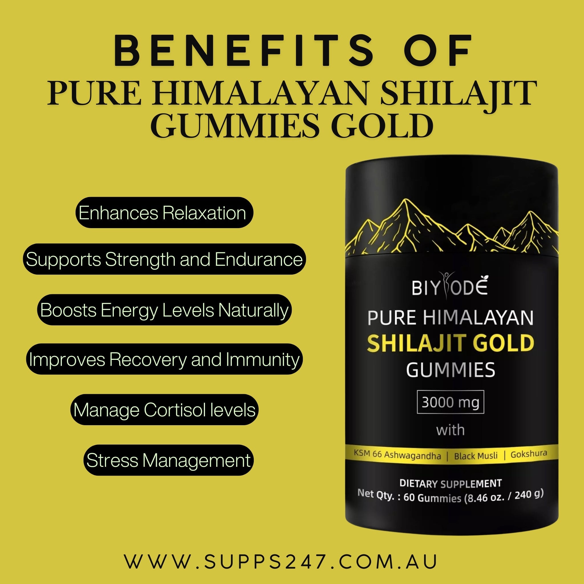 Benefits of Pure Himalayan Shilajit Gold Gummies.