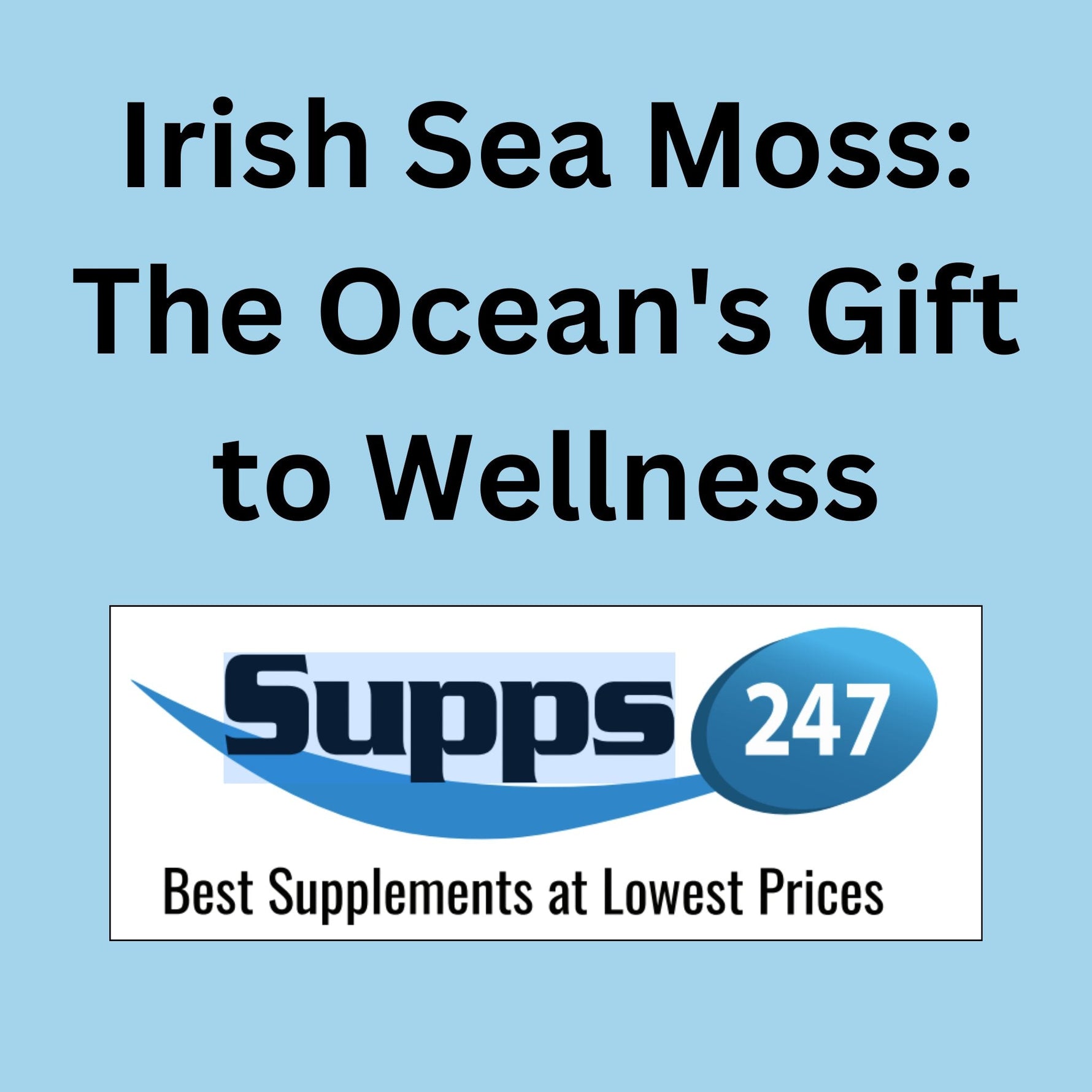 Irish Sea Moss: The Ocean's Gift to Wellness.