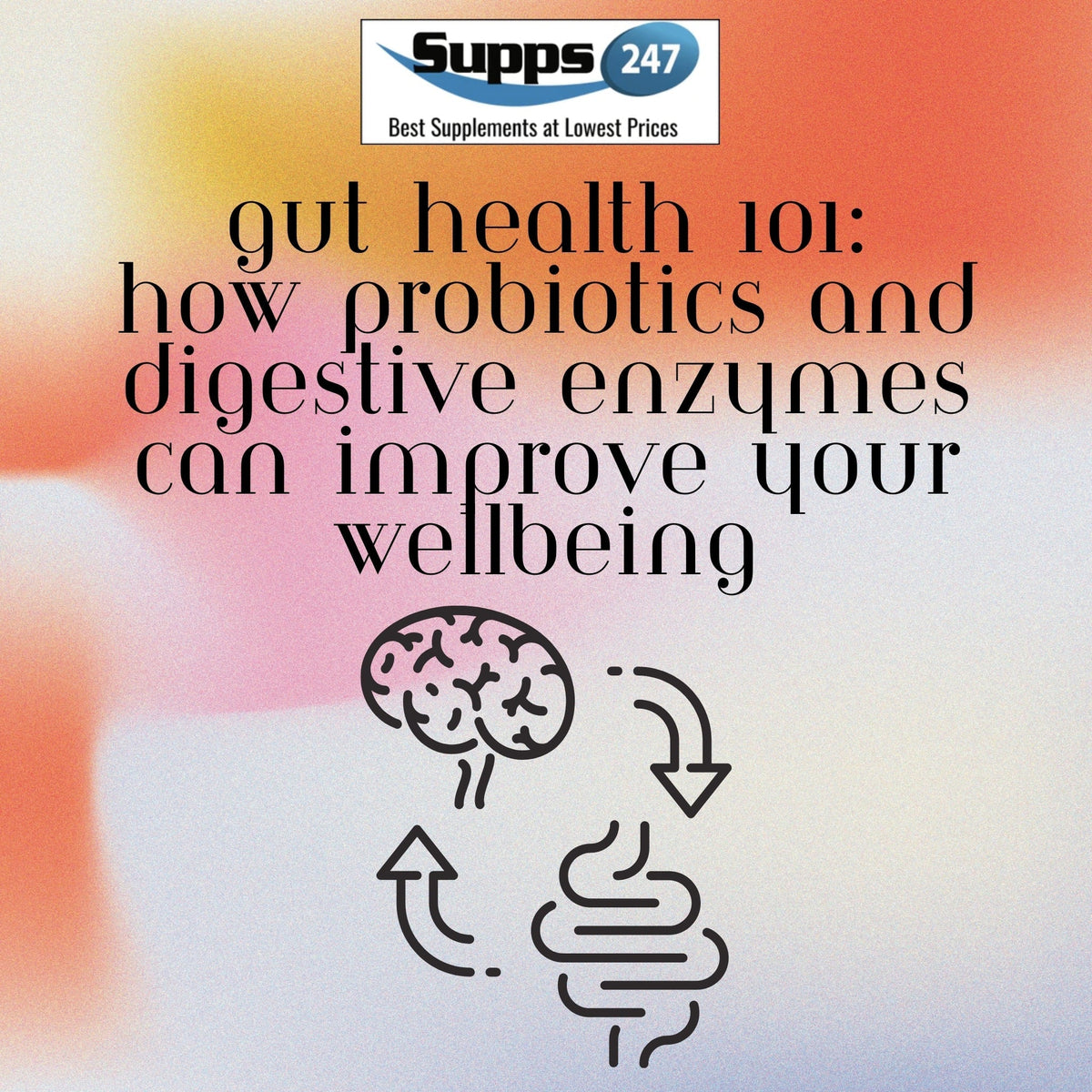 Gut Health 101 How Probiotics And Digestive Enzymes Can Improve Your