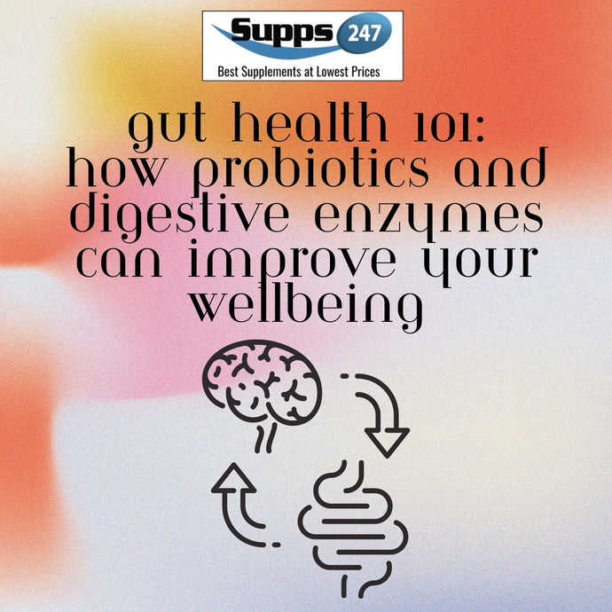 Gut Health 101: How Probiotics and Digestive Enzymes Can Improve Your Wellbeing