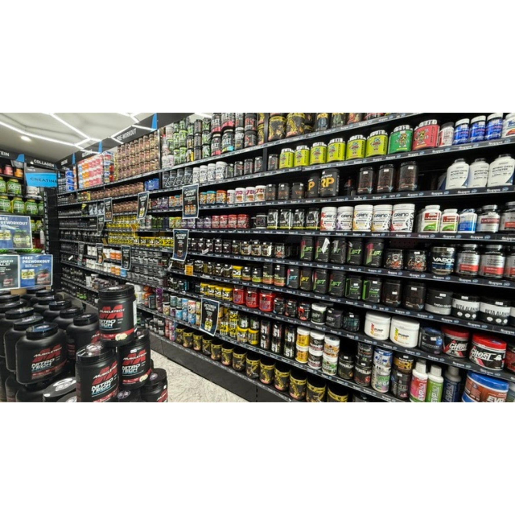 Fuel Your Day with Meal Replacement Shakes from Supps247.