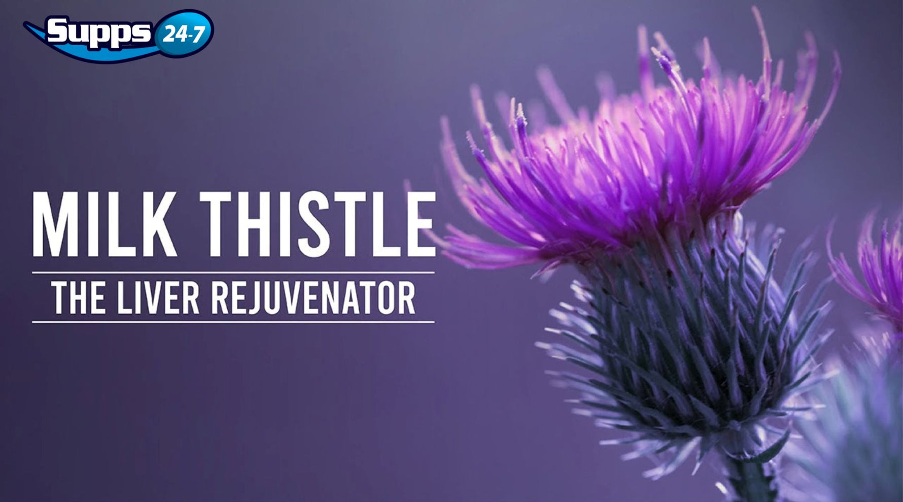 Milk Thistle.