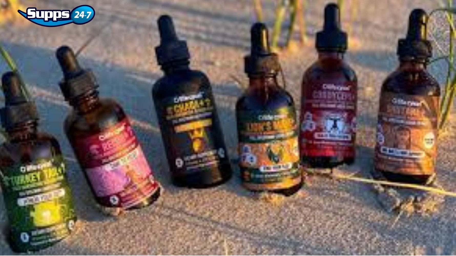 Mushroom Extracts by Life Cykel.