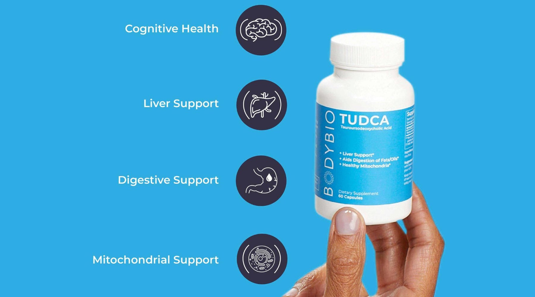What is TUDCA and it's benefits.