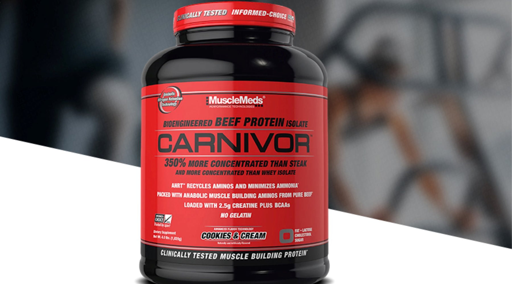 What is Beef Protein?.