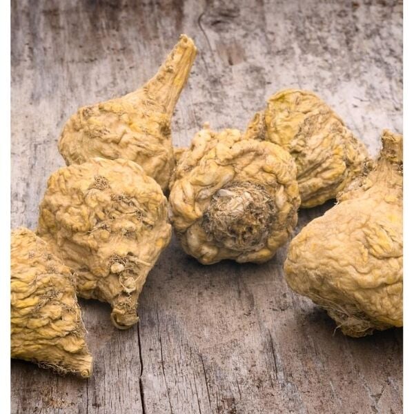 9 Benefits of Maca Root.