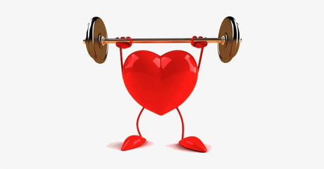 Heart Health and Omega Fatty Acids: Exploring Supps247's Offerings