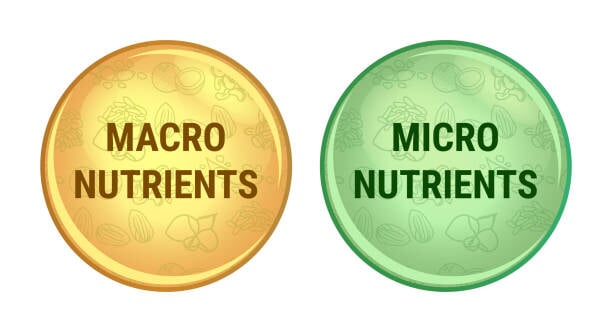 Nutrition and Body Science: A Comprehensive Guide to Health and Supplements.