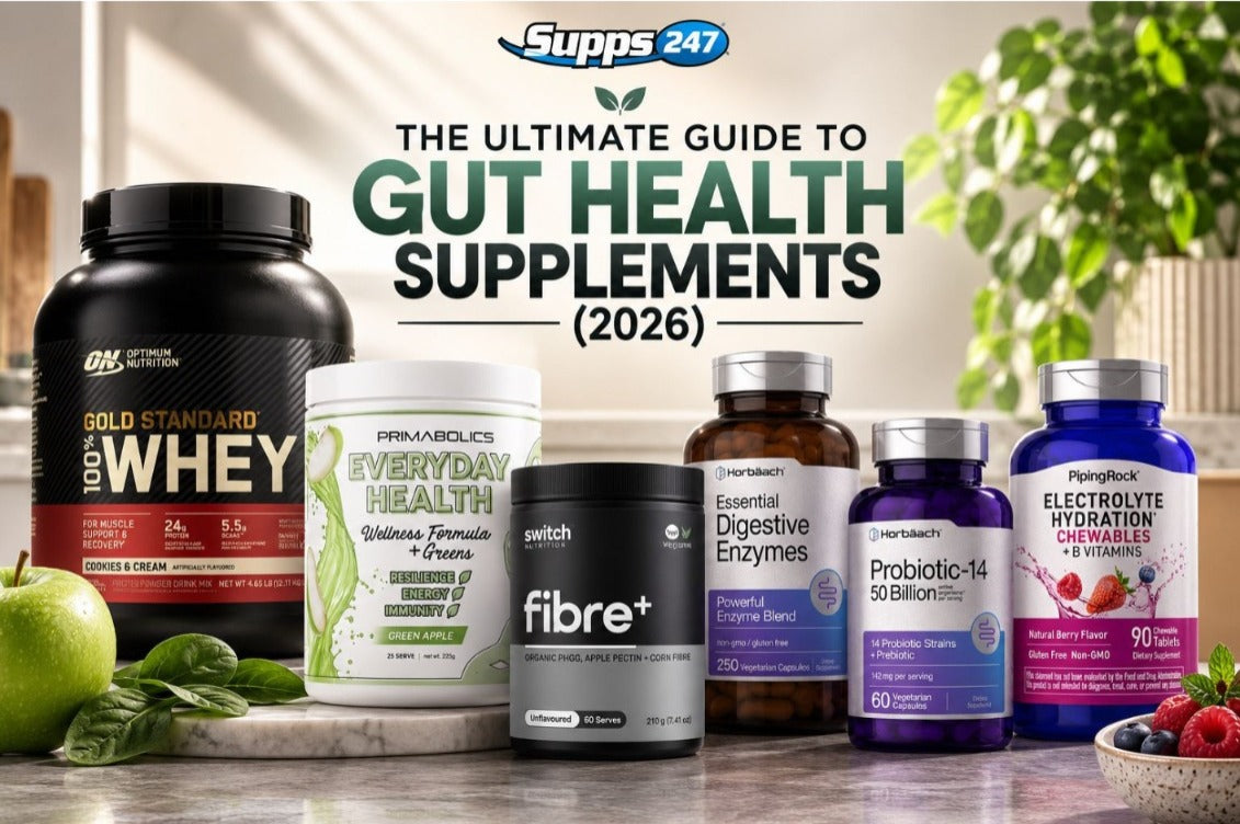 The Ultimate Guide to Gut Health Supplements (2026)