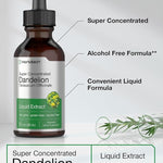Horbaach Dandelion Root Extract | 2 fl oz | Super Concentrated | Alcohol Free Liquid Tincture | Vegetarian, Non-GMO, Gluten Free General Horbaach 