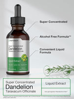 Horbaach Dandelion Root Extract | 2 fl oz | Super Concentrated | Alcohol Free Liquid Tincture | Vegetarian, Non-GMO, Gluten Free General Horbaach 