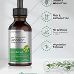 Horbaach Dandelion Root Extract | 2 fl oz | Super Concentrated | Alcohol Free Liquid Tincture | Vegetarian, Non-GMO, Gluten Free General Horbaach 