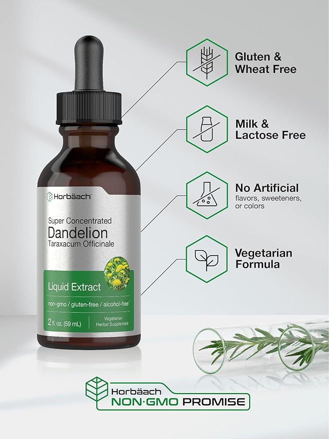 Horbaach Dandelion Root Extract | 2 fl oz | Super Concentrated | Alcohol Free Liquid Tincture | Vegetarian, Non-GMO, Gluten Free General Horbaach  - Image 4