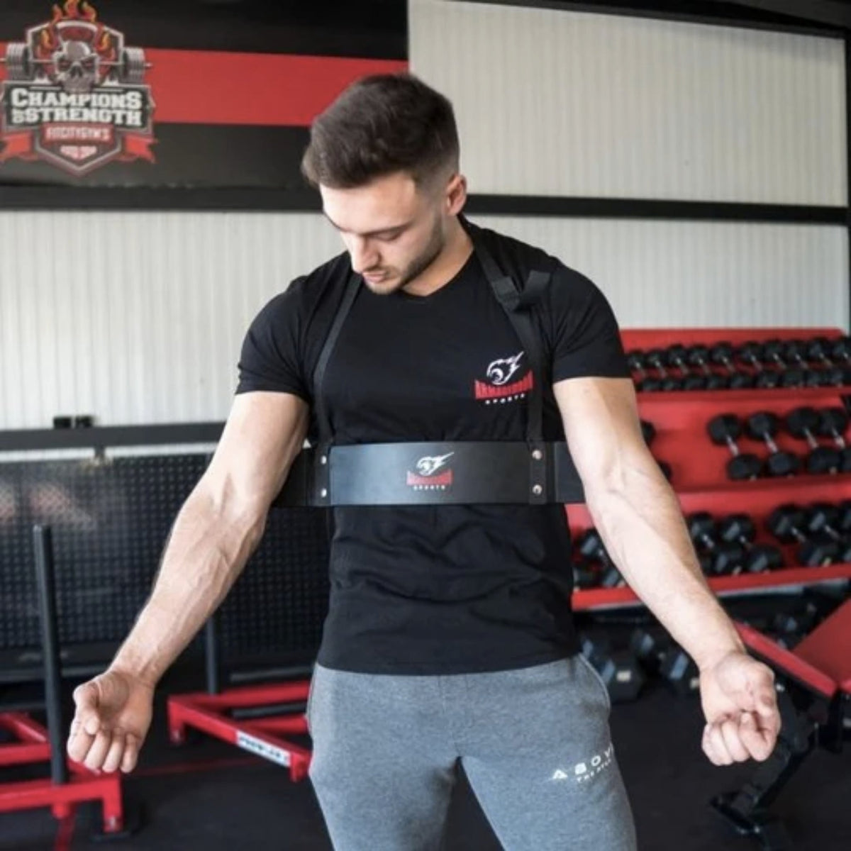 Arm Blaster Biceps Isolator Lifting Strap ARM BLASTER SUPPS247  - Image 6