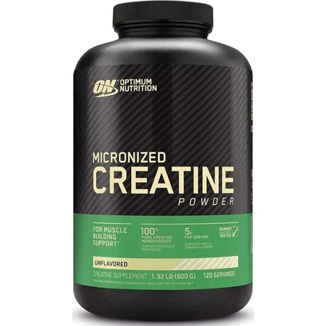 Creatine Powder by Optimum Nutrition General OPTIMUM NUTRITION 