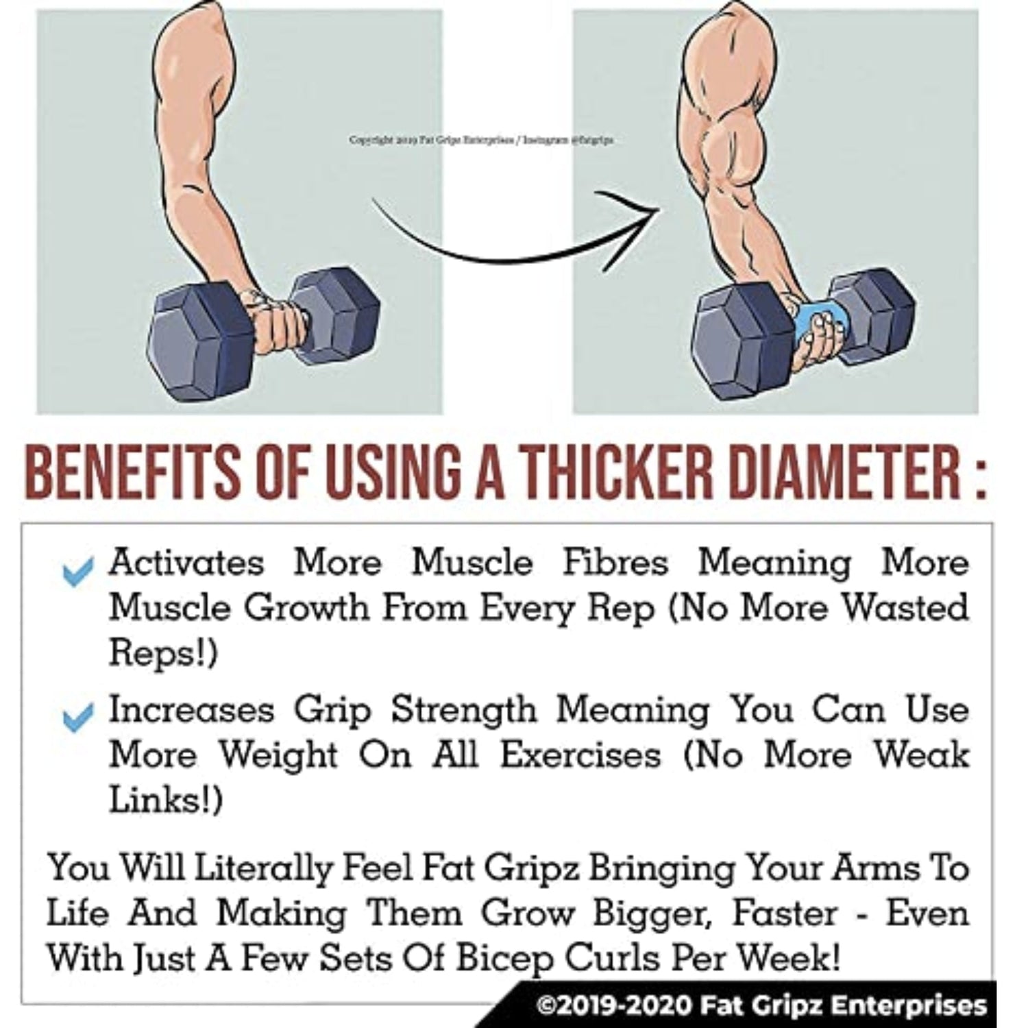 Get Bigger Forearms Forearm Size Exercises Muscle Growth Build