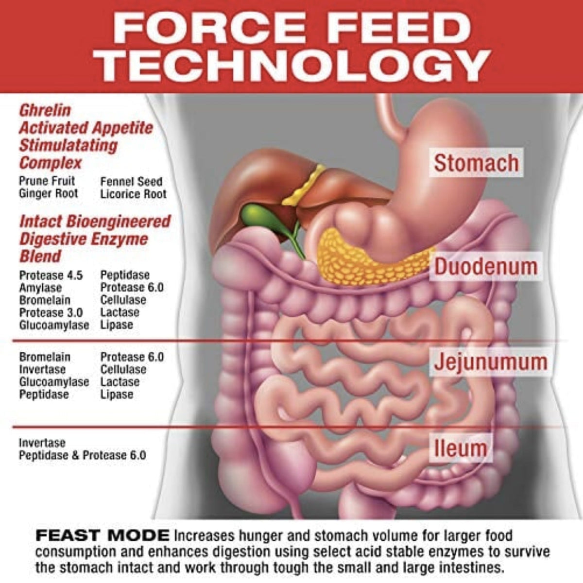 MuscleMeds Weight Gain Pills 90 Counts GAINER SUPPS247  - Image 2