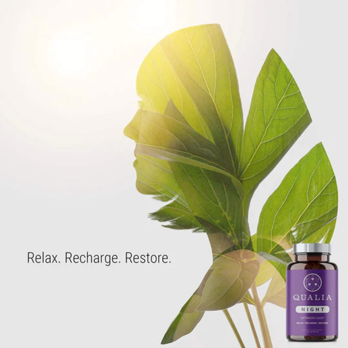 Qualia Night by Neurohacker Sleeping Aids SUPPS247  - Image 6