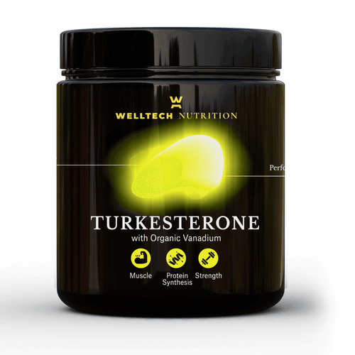 TURKESTERONE Powder By Welltech Nutrition