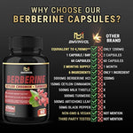 Berberine Ceylon Cinnamon + Turmeric Herbal Supplements SUPPS247 