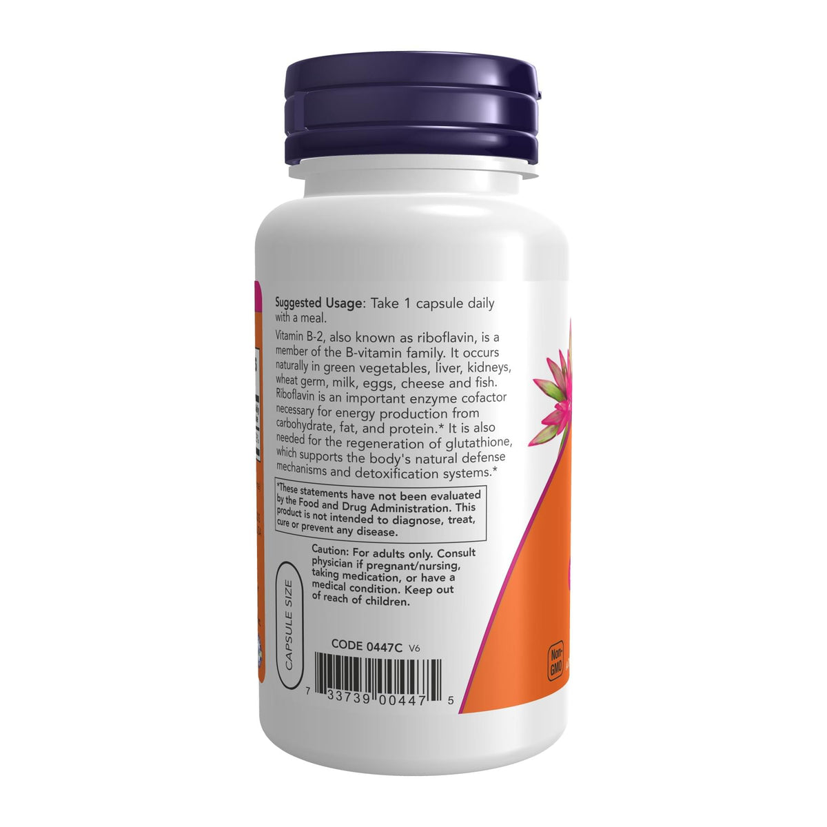 Now B-2 100MG Riboflavin Energy Production Support 100 Counts, directions label - Image 3