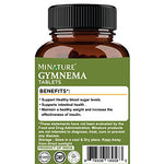 Gymnema Tablets by mi Nature | 90 Tablets, 1000 mg Multivitamins & Minerals supps247 