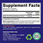 Vitamatic Mastic Gum 1000mg per Serving - 120 Capsules Multivitamins & Minerals supps247