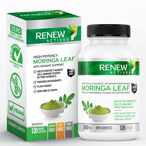 Moringa Leaf Supplement: 800mg Daily Servings Vitamins & Supplements supps247