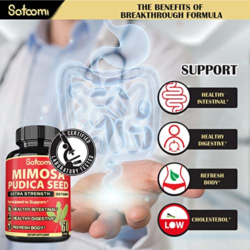 Natural Mimosa Pudica Seeds Capsules 3875mg Back to results supps247 - Image 3