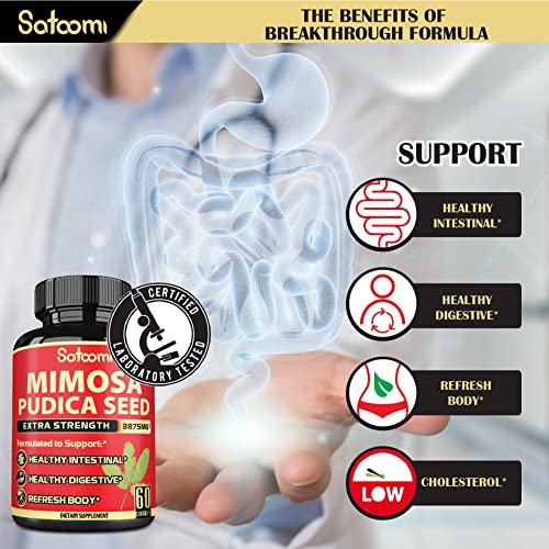 Natural Mimosa Pudica Seeds Capsules 3875mg Back to results supps247